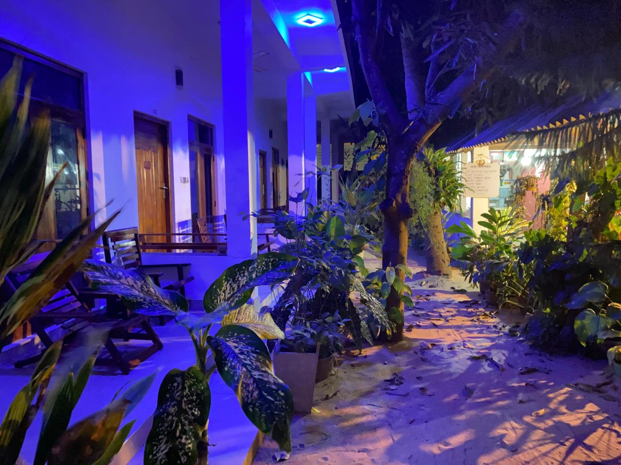 Tropicana Home Stay Arugam Bay Dış mekan fotoğraf