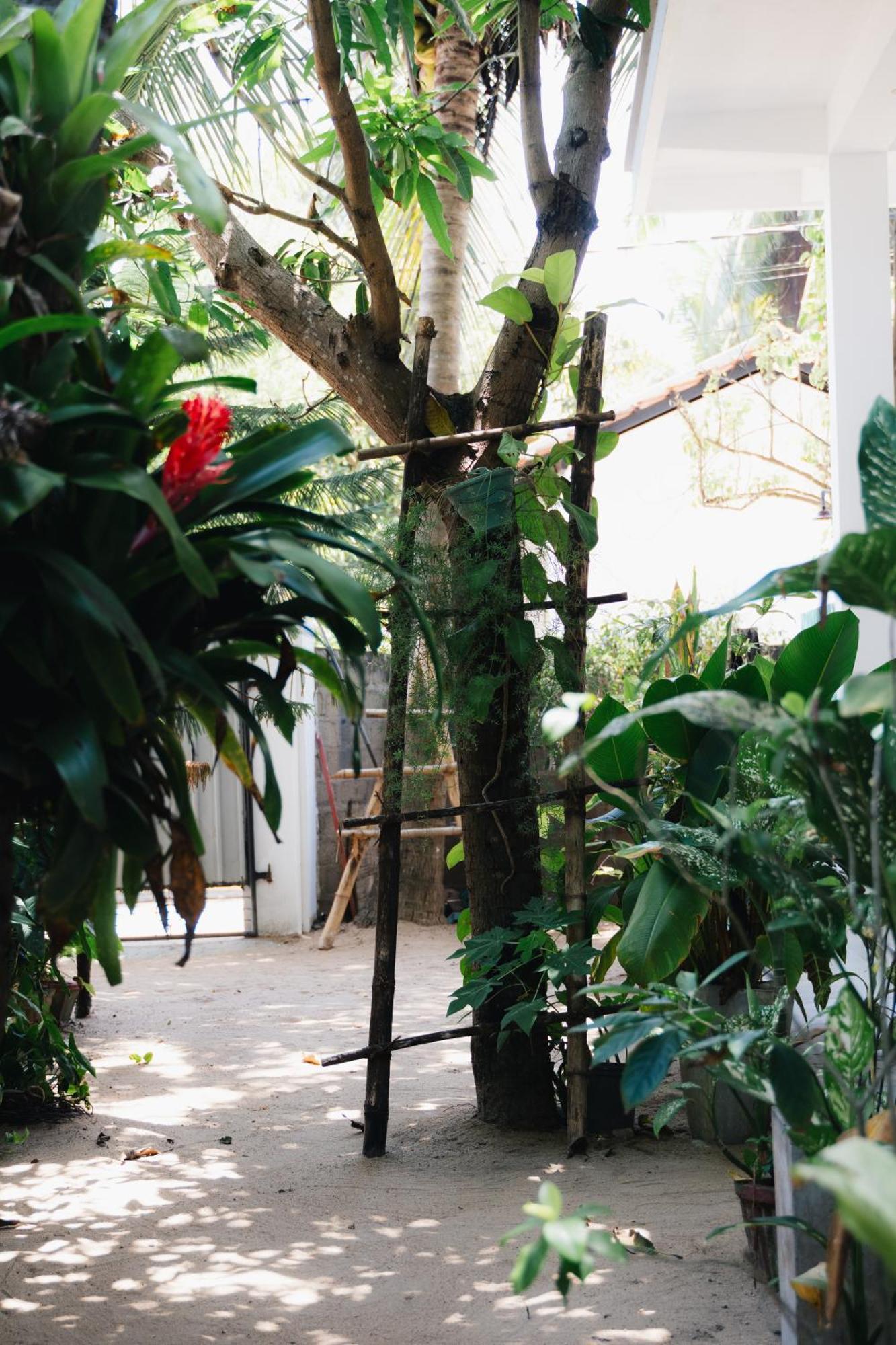 Tropicana Home Stay Arugam Bay Dış mekan fotoğraf
