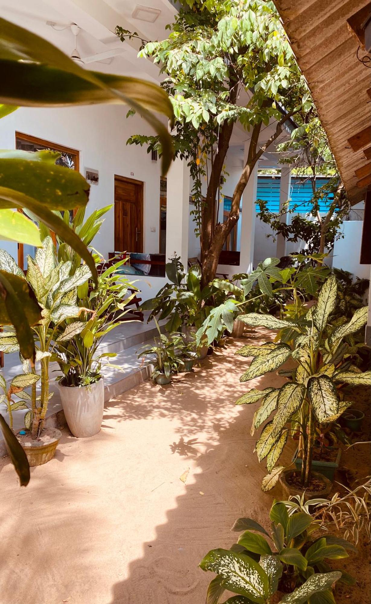 Tropicana Home Stay Arugam Bay Dış mekan fotoğraf